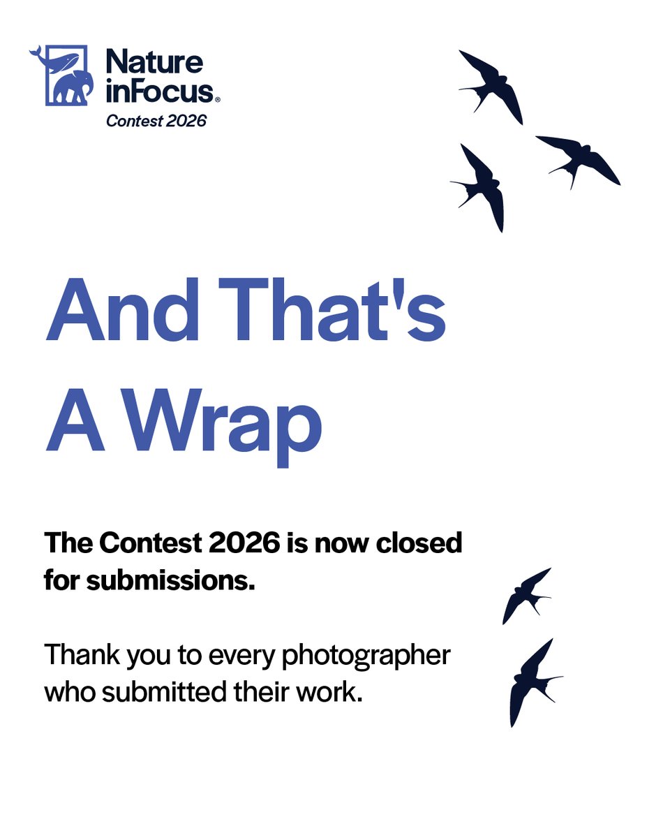 NatureIn_Focus's tweet photo. Submissions are now closed, and we want to extend a heartfelt thank you to every photographer who shared their incredible work with us this year.

And our deepest gratitude to our partners, this edition would not have been possible without your wonderful suppor. https://t.co/Jwd926AK9N