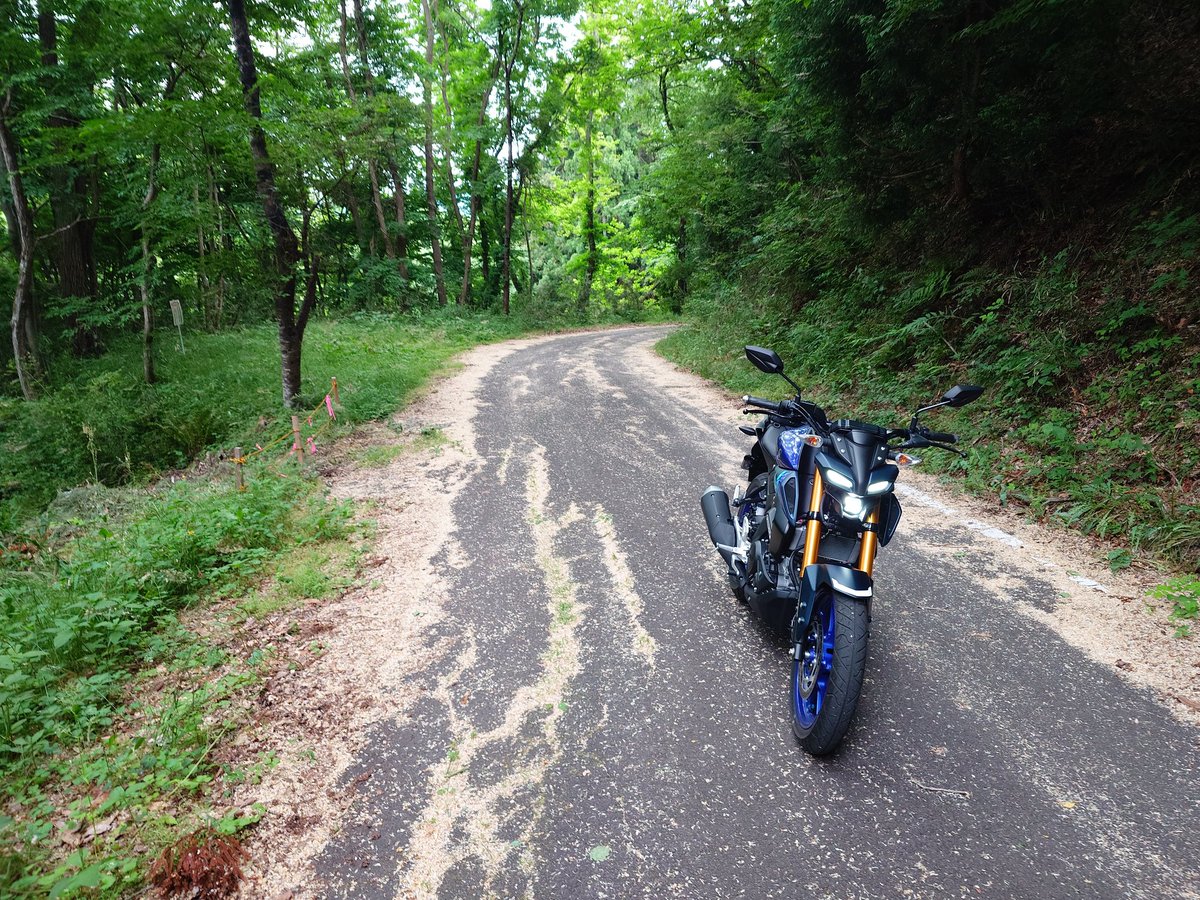 mountainNorble's tweet photo. MT125、無事納車されました！

あまりの熱さに即ソフトクリームを食べに地元のお店へ笑

とりあえず慣らしを終わらせるべく仙台（MT10に遭遇！）→太平洋沿い→林道トライアルの強行軍…これはストファイよりほぼモタード…？

早く…早くVVAを…
#ライダーの義務　#バイク乗りとつながりたい　#YAMAHA https://t.co/k8TMuQZylR