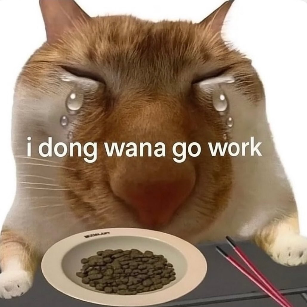 Miaw tweet media