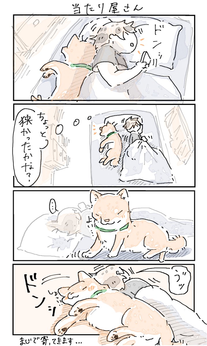 ranapo1209's tweet photo. 当たり屋さん https://t.co/xV74P0mCzo