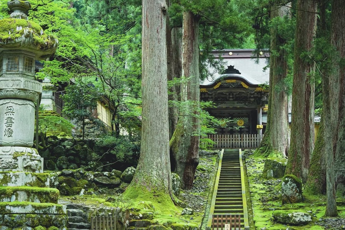 SakeToday's tweet photo. Any trip to Fukui should have Eiheiji Temple on its itinerary. Established in 1244, it has long been associated with Zen, and visitors can participate in zazen meditation courses. https://t.co/JszhhkaE8p