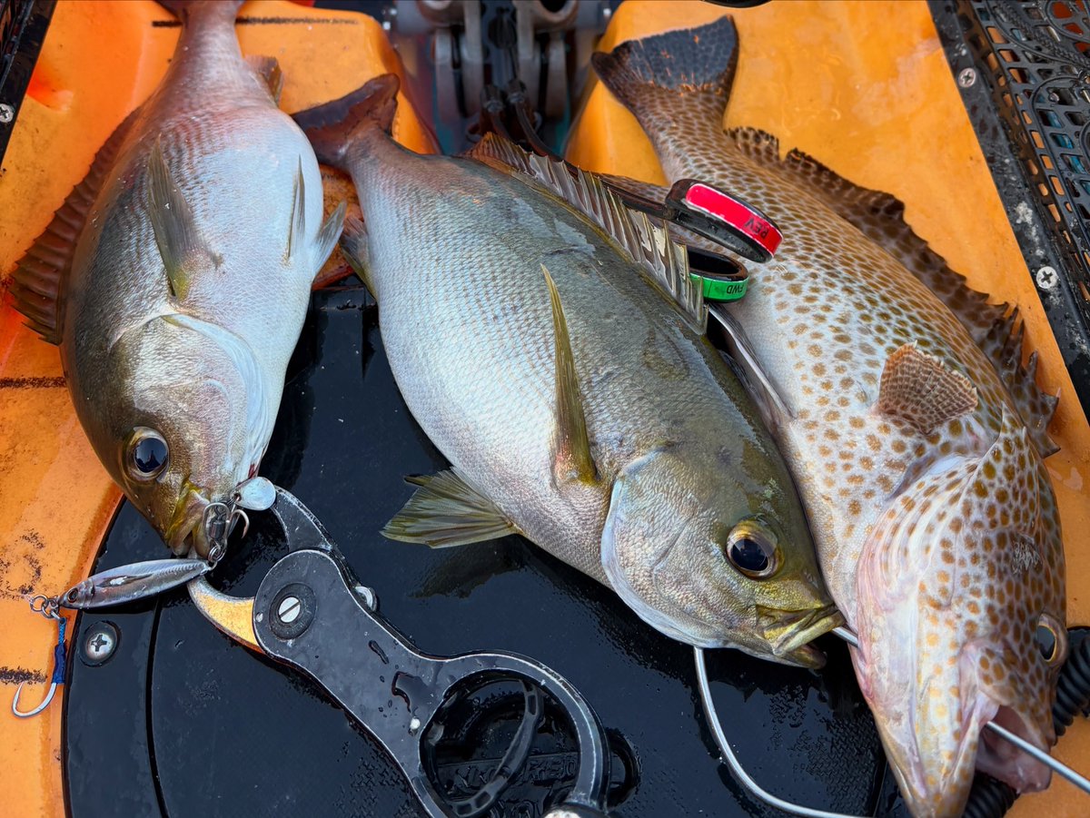 KayakboyBoykun's tweet photo. 先日の釣行
過去最高クラスに釣れて最高にクタクタな日でした🤩釣りに行きたい🎣
あとタイラバロッド中古で買いました
今までタイラバみたいな何か　をしていたんだなと思い知らされました。
これでヘッド制作にもっと力を入れられます笑 https://t.co/FxracTMr2f