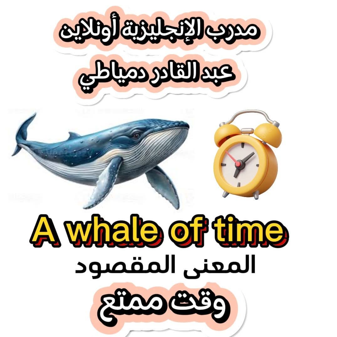 ESLtutorAbed's tweet photo. العبارة بالصورة تعني قضاء وقت ممتع 
A whale of a time
تتوفر كورسات الانكليزي بشكل  وجاهي بمدينة اللاذقية  في مكتبي في سوق التجار ...تبدأ الكورسات بعد عطلة العيد 
✌️🥰( وطبعا كورسات الأونلاين مستمرة دوما)
محادثة لكافة المستويات من الصفر للإتقان 
قواعد اللغة الانجليزية الشاملة https://t.co/ZvrTcWZvpB