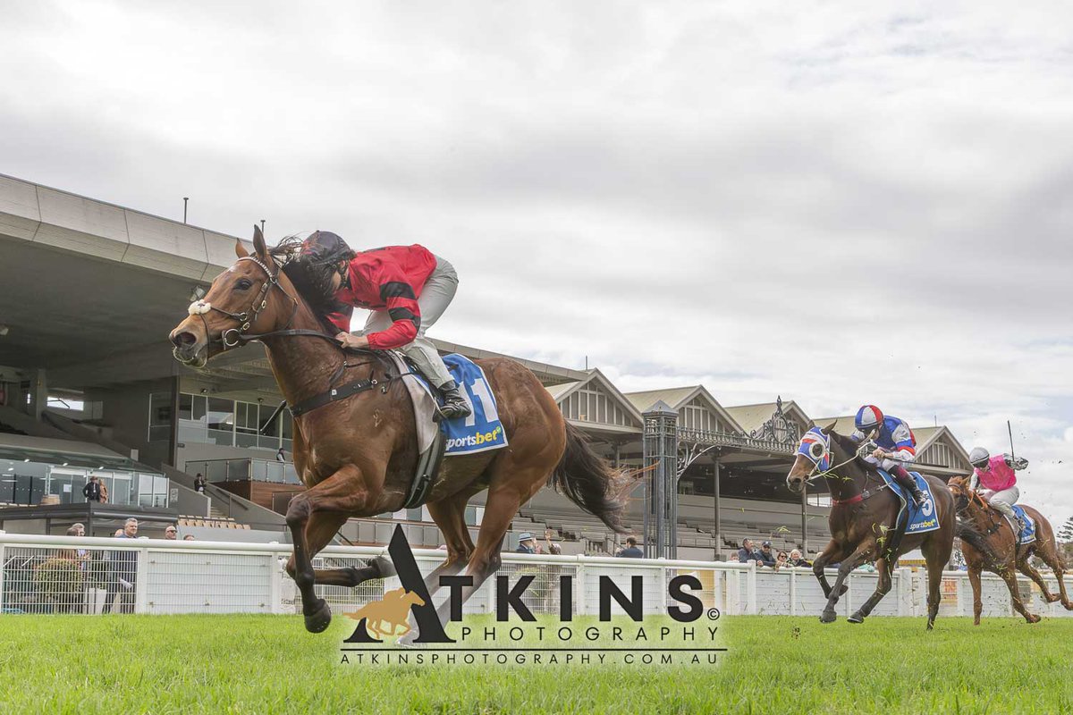 TzaferisRacing's tweet photo. Three quirky mares stepped up for the stable during the autumn with Our Sassy Lady, Everythingisautumn &amp; Exotic Dancer each recording multiple wins this campaign.

Our team is growing and we'd love you to join us to race the next exciting filly: https://t.co/ion9kZRiD7 https://t.co/AAjMg7fGd7