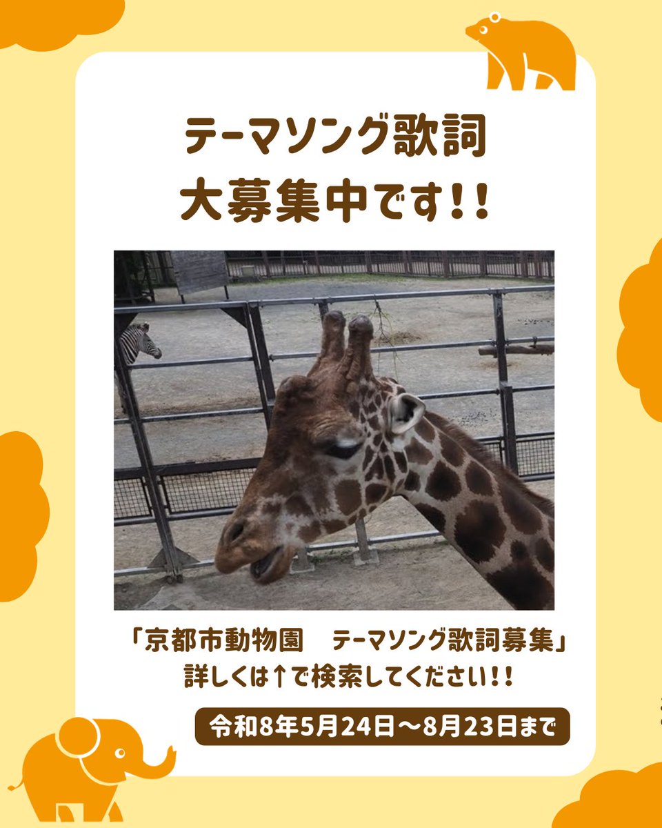 kyotoshidoubut1's tweet photo. ホタルの観察をしていた時、ムササビのイチゴ(メス)が活発に動いていたので、夜間観察用の赤色ライトで少し撮影しました。
#京都市動物園 #kyotocityzoo #夜 #Night #ムササビ #GiantFlyingSquirrel #テーマソング #歌詞募集 https://t.co/itSNtY8moR