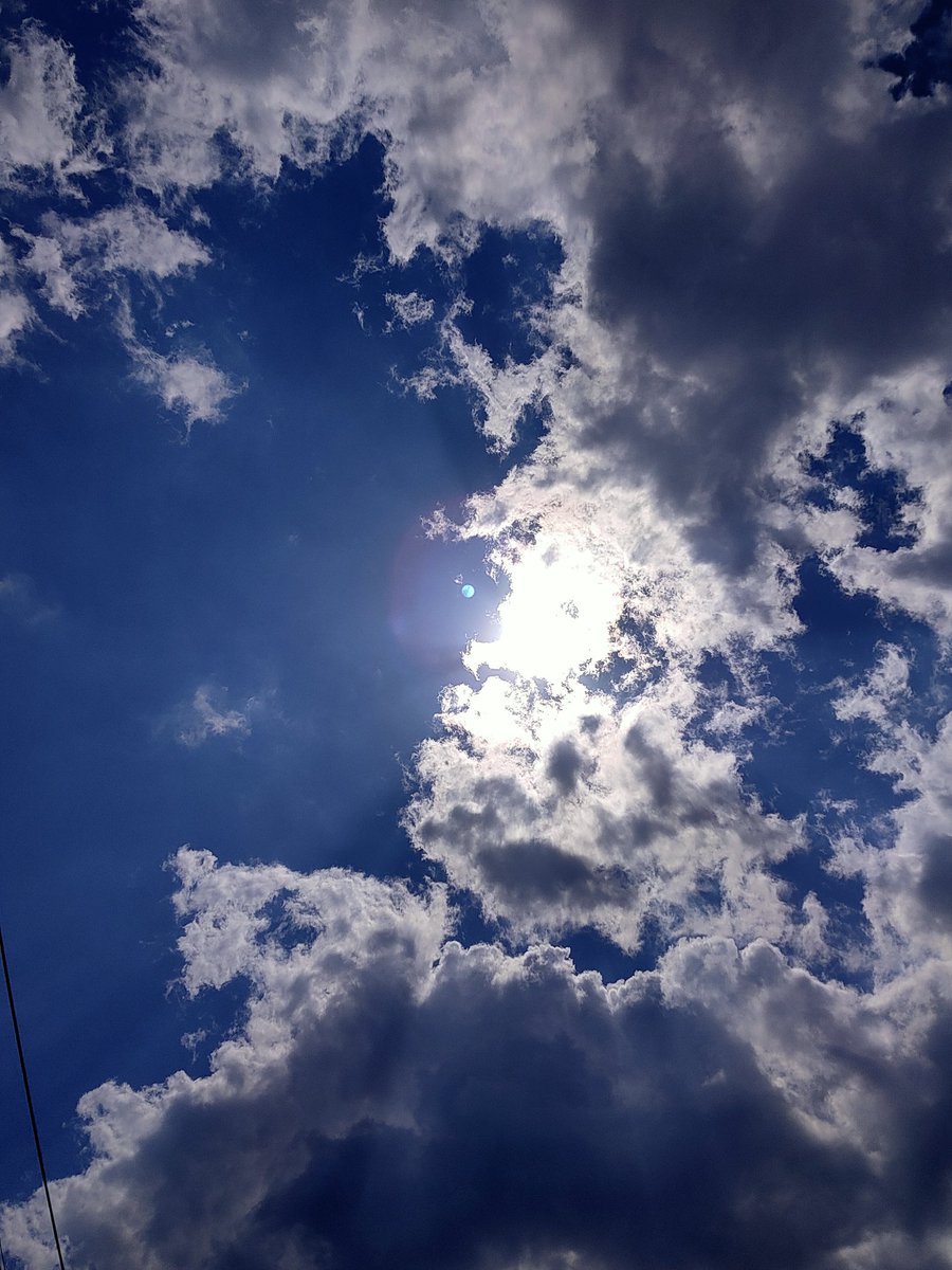 Take_k_76's tweet photo. #5月を写真４枚で振り返る 
梅雨入り前にしっかり初夏を感じさせてくれた5月でした https://t.co/FZTTYuQcKv