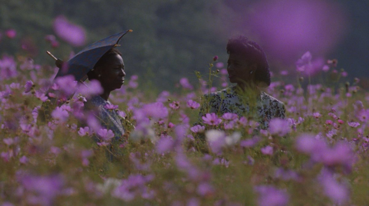 __stvnnn's tweet photo. J’ai revu #TheColorPurple de Steven Spielberg et c’est une œuvre aussi importante que bien faite qui devrait bien plus être citée parmi les meilleurs films du réalisateur.

Le portrait d’une femme afro-américaine dans le Sud des États-Unis au début du XXe siècle avec toute la violence et l’oppression que cela engendrait. Dur à regarder mais nécessaire avec des performances magnifiques et une mise en scène formidable.

Whoopi Goldberg est légendaire dans ce film.