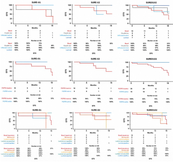 urotoday's tweet photo. Molecular characterization of residual disease post-neoadjuvant sacituzumab govitecan, pembrolizumab, or their combination in patients with #MIBC. Presentation by @AndreaNecchi @SanRaffaeleMI. #ASCO26 written coverage by @zklaassen_md @GACancerCenter > https://t.co/XY6Fi4b8ev @ASCO