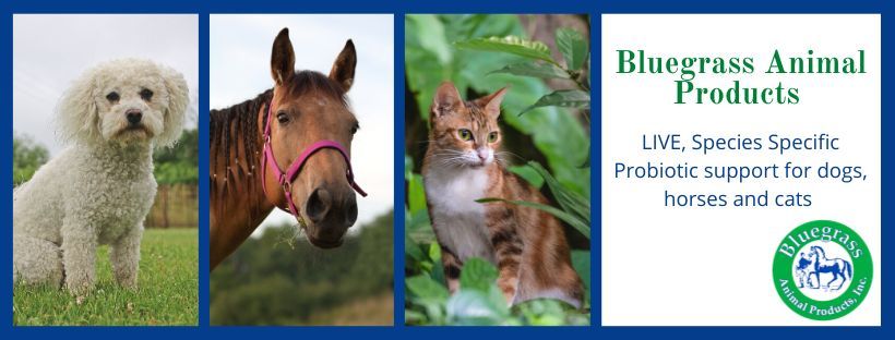 BluegrassAnimal's tweet photo. Shop Bluegrass Animal Products for probiotic support for your dogs, cats and horses!   https://t.co/14EPvUA5yT 

#horses #horse #cat #dog #animalhealth #horsesofx #catsofx https://t.co/nMARuGh7SL
