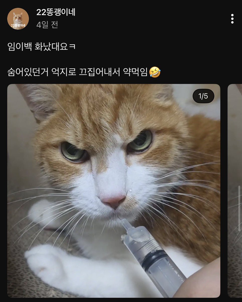 주먹🎗️ tweet media