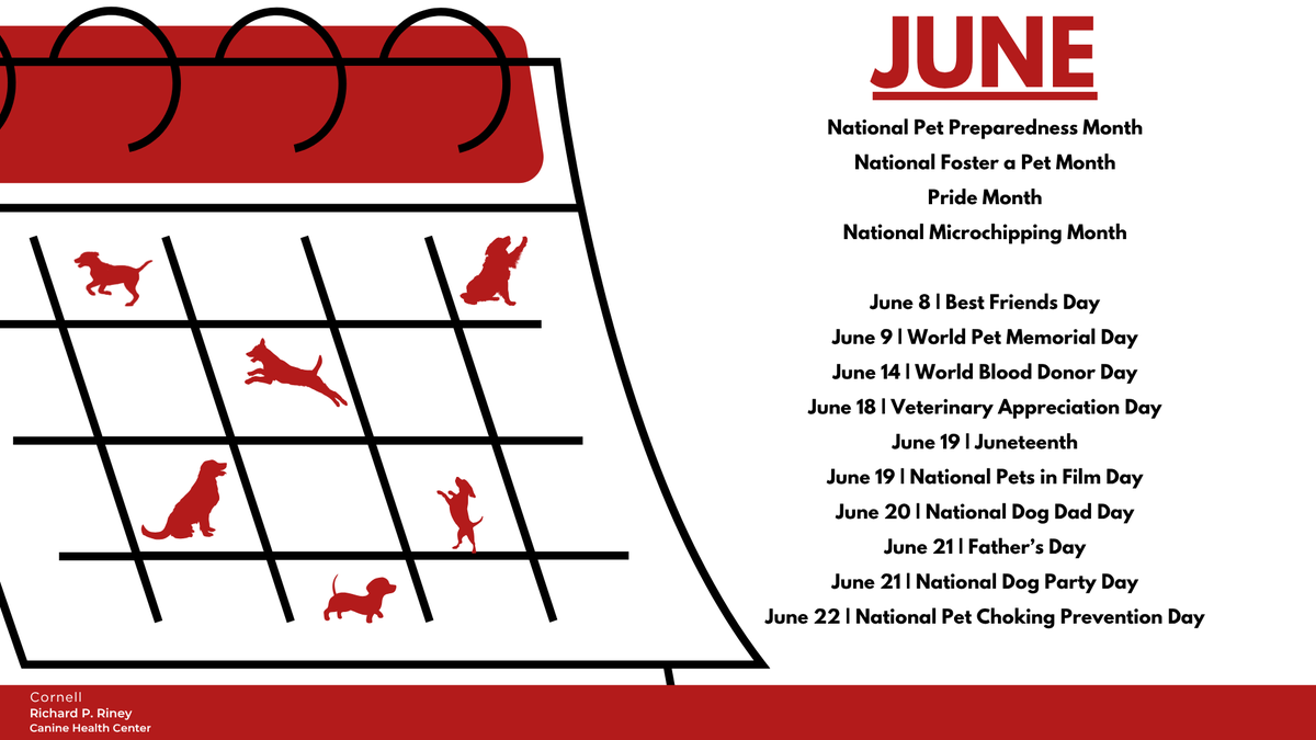 cornelldogs's tweet photo. Here is a look at some of the important dates and themes coming up! We'll have more info and showcase additional days as we progress through the month. 🐶 https://t.co/rwRxA78UDW