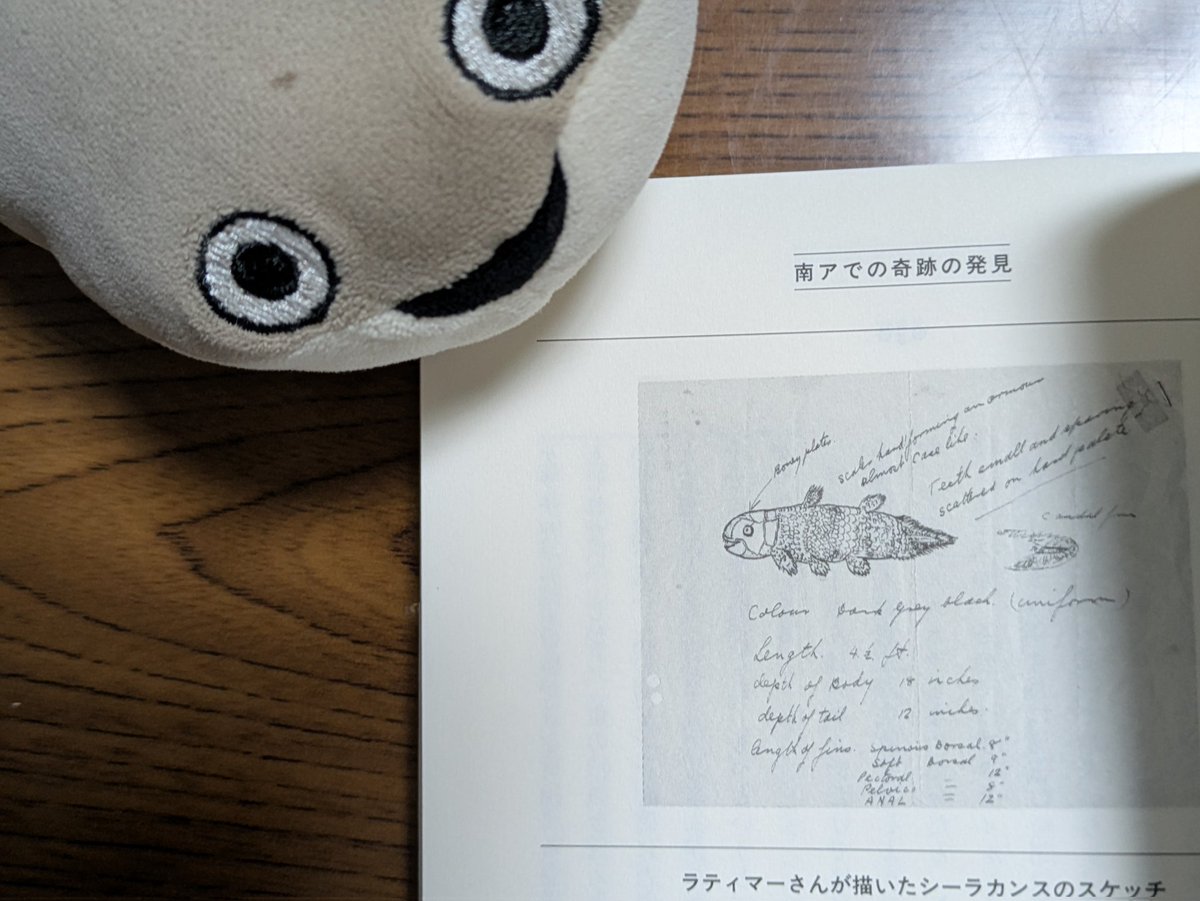 dimuchoooo's tweet photo. ラティマーさんが描いたシーラカンスのスケッチが好きすぎて この本を買いました╭(°ㅂ°)╮ https://t.co/orq8a5o4vP