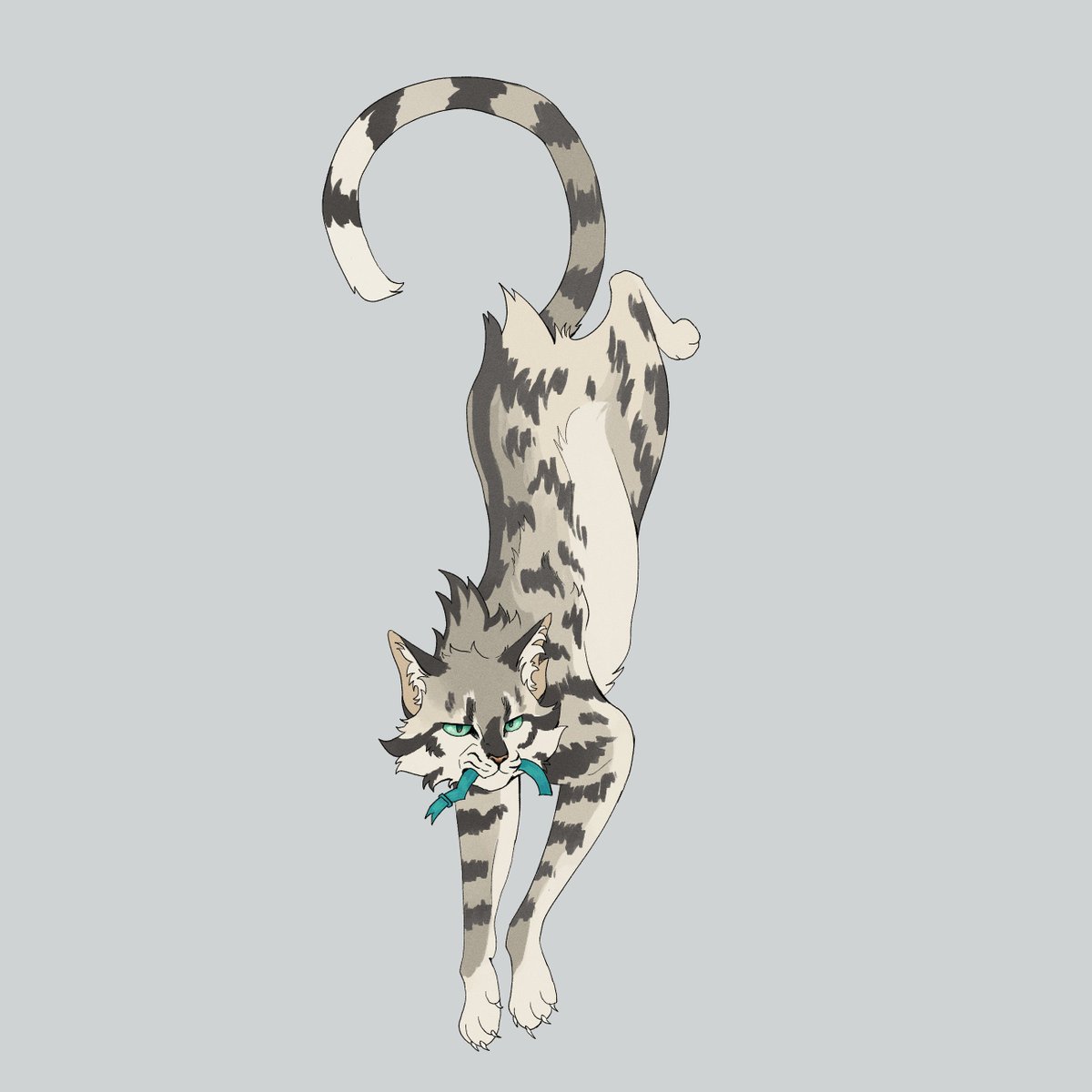harriertail's tweet photo. longs your tail https://t.co/pmN19Ad7eU
