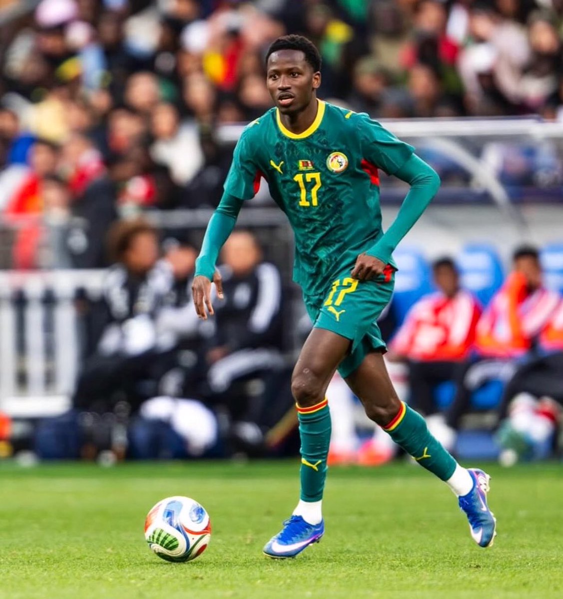 𝑶𝑽𝑬𝑹𝑫𝑶𝑺𝑬🇸🇳 tweet media