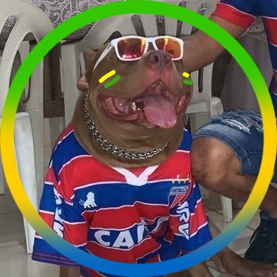 outofcontextfec's tweet photo. #NewProfilePic https://t.co/N1w81YYCEz