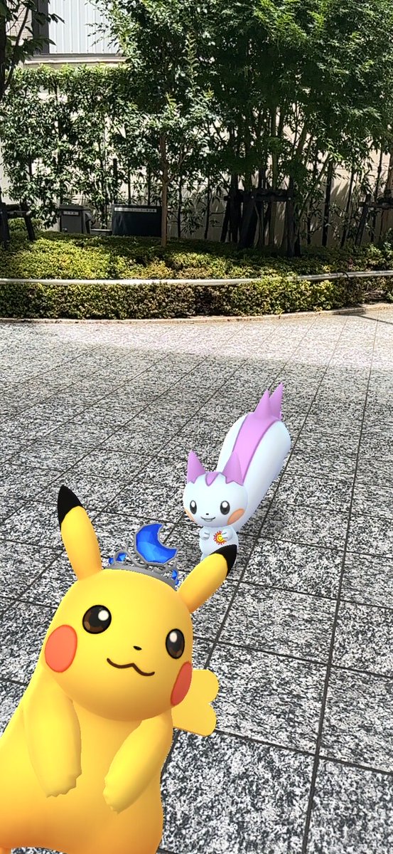 NyaohaS1167's tweet photo. 推しのユーチューバーさんとお話しできたし、まあ楽しかったよ
育てたいと思うミュウツーはいないけど😭笑 https://t.co/wN6L1t37An
