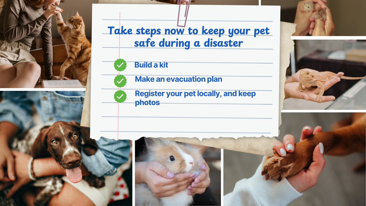 IowaHSEM's tweet photo. Your pets are important member of your family! This is why they should be included in your family’s emergency plan. Keep your pets in mind and follow these tips: 
1. Make a plan. 
2. Build an emergency kit. 
3. Have proper ID/records.
Learn more: https://t.co/6BBcC2EcCz https://t.co/DgsgxkZcWf