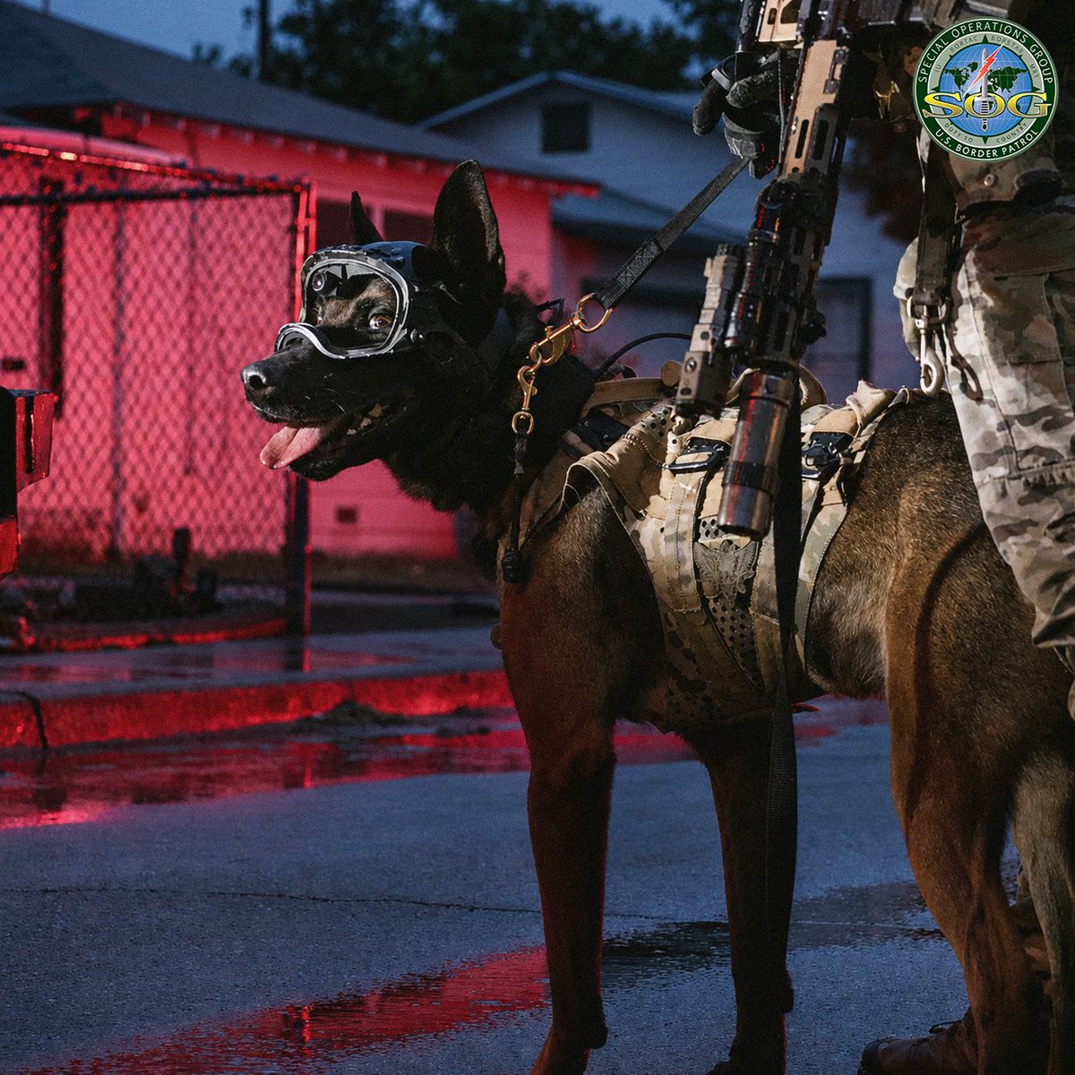 USBPSOG tweet picture