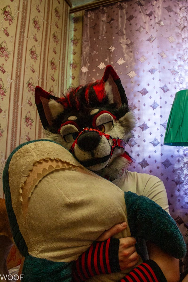 fluffyhunter_'s tweet photo. Sometimes I just wanna be a big silly doggo 😜✨
(Blåhaj not included)

📸: @obscurel_chanel https://t.co/IfRMrBQrMd