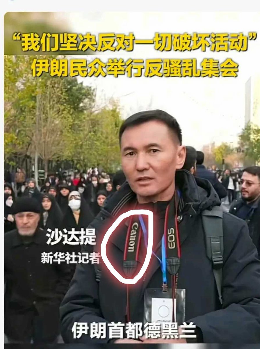 晨曦 tweet media