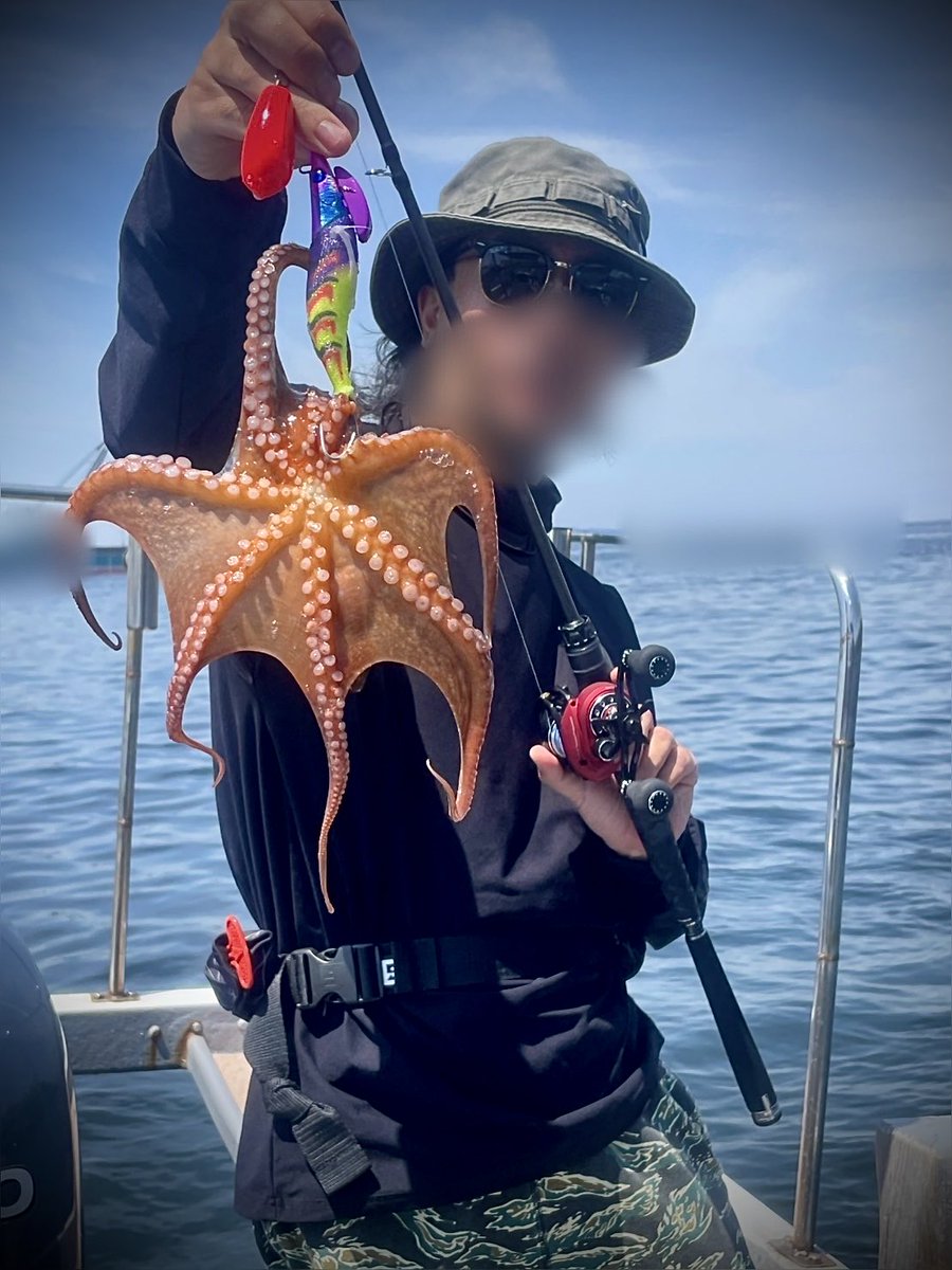 0308Dobe's tweet photo. 2026/6/1  東京湾奥某所

タコ6杯　ヒラスズキ1匹
タコ解禁日初参戦🐙
昨年のように爆ってはないものの、ぼちぼち釣れて楽しめました✌️
わいわいな雰囲気や満員の船団はお祭り感覚🎆
朝一にヒラのボイルに我慢できず1キャッチ🤫 https://t.co/e00ofCSkoQ
