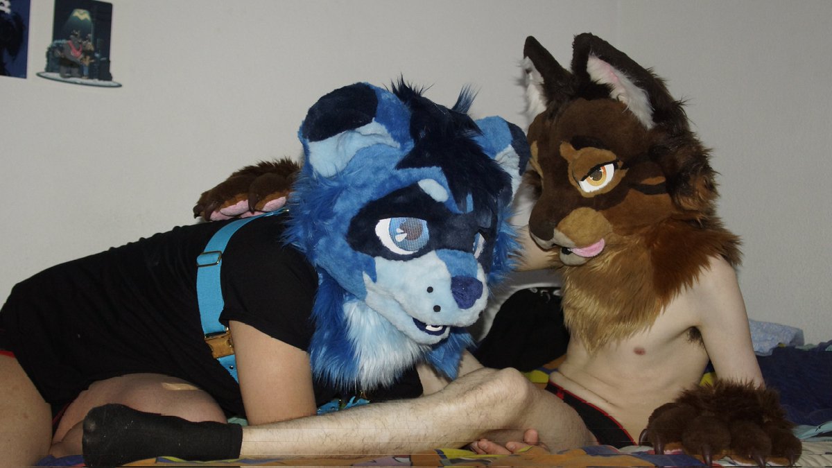 AfterPurr's tweet photo. Two naughty creatures in the same bed. Care to find out how it ends?

🦝: @KenuAD

#MurrsuitMonday #Murrsuit #Fursuit https://t.co/ywxwjd5x1I