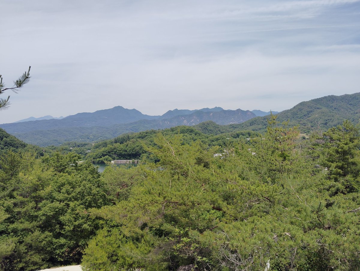 surviveKENT's tweet photo. 今日の登山行程は
甲府駅→湯村山→法泉寺山→八王子山(白山)→白山展望台→もののけ山→阿梨山→見越山→帯那山→奥帯那山→興因寺山→淡雪山→上帯那バス停
でした
熊に遭遇したり、たぬきが逃げこんだ穴からスズメバチが飛び出してきたり散々でしたが何事も無く無事下山できました https://t.co/FcZ1xXL1qc