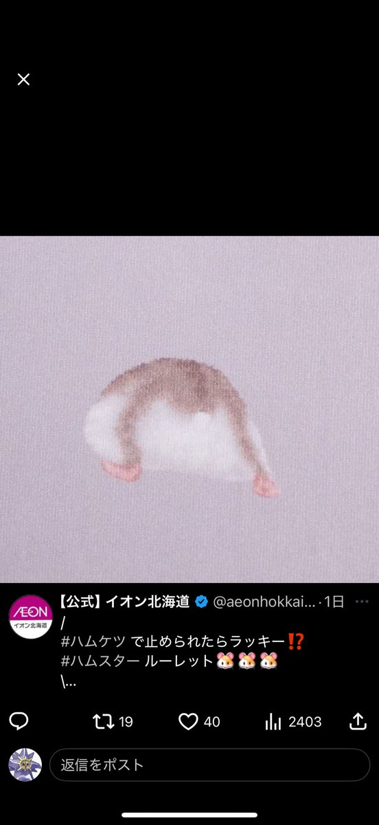mega_dekami's tweet photo. ジャンガリアン🥰🥰🥰 https://t.co/X9XpNTGkUg