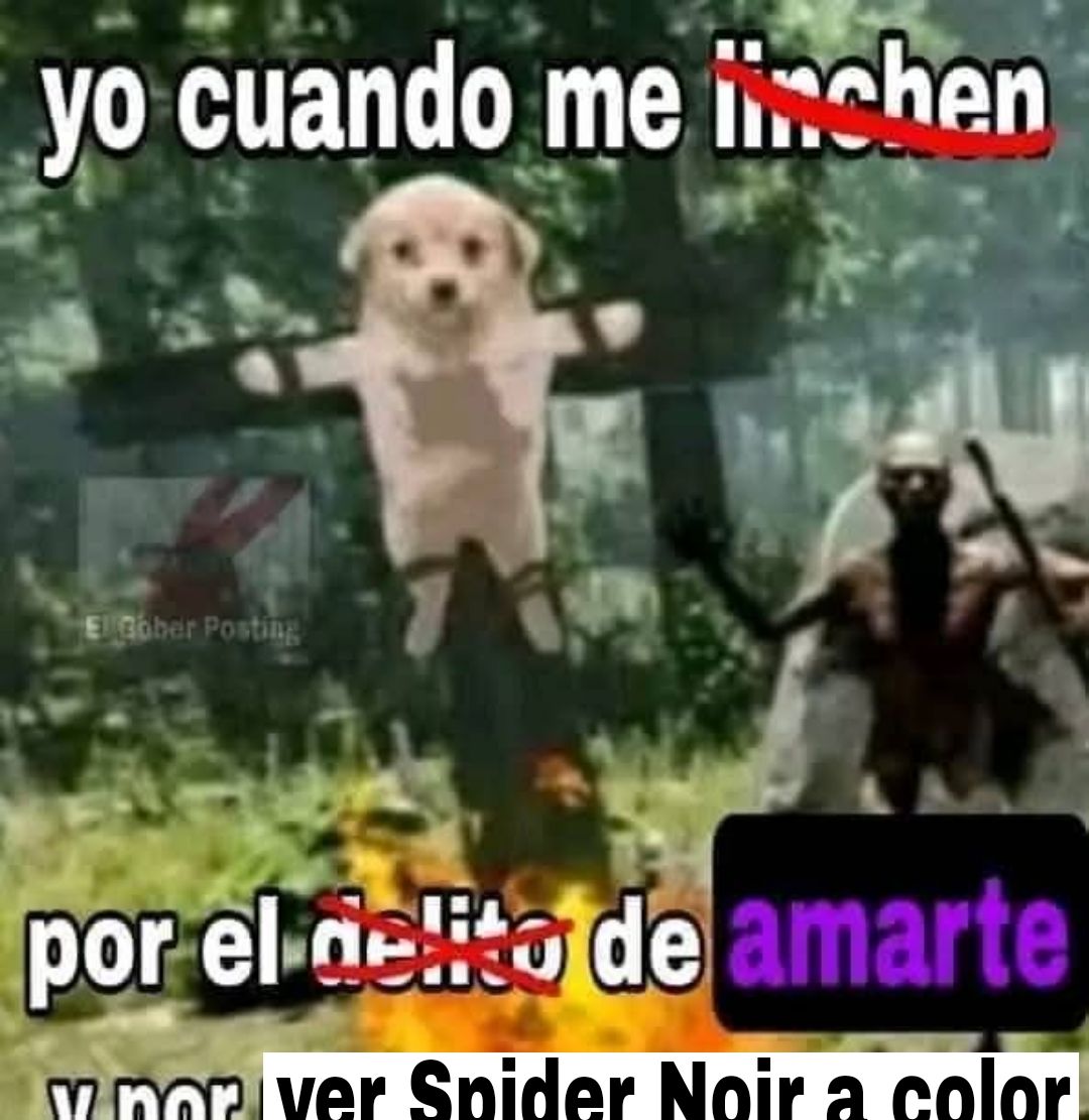 Una hormiga que mira tu post 🐜 tweet media