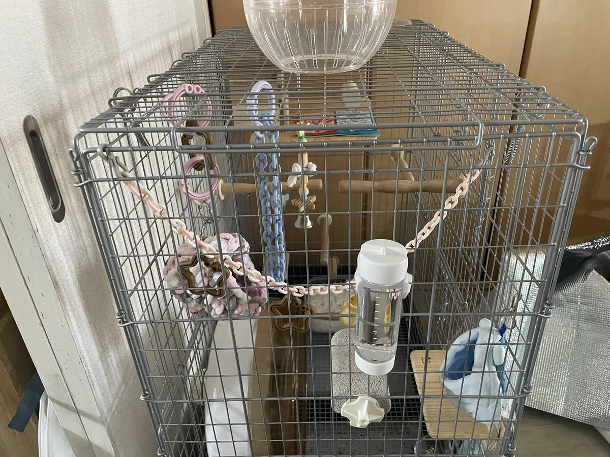 j0sscc's tweet photo. おもちゃの増えたシマリスのお家、イージー80ハイケージに30センチのホイール

30センチホイールなのに鼻するんだよね走るの早すぎて、どうしたもんか🤔 https://t.co/qCcC5k3zbT