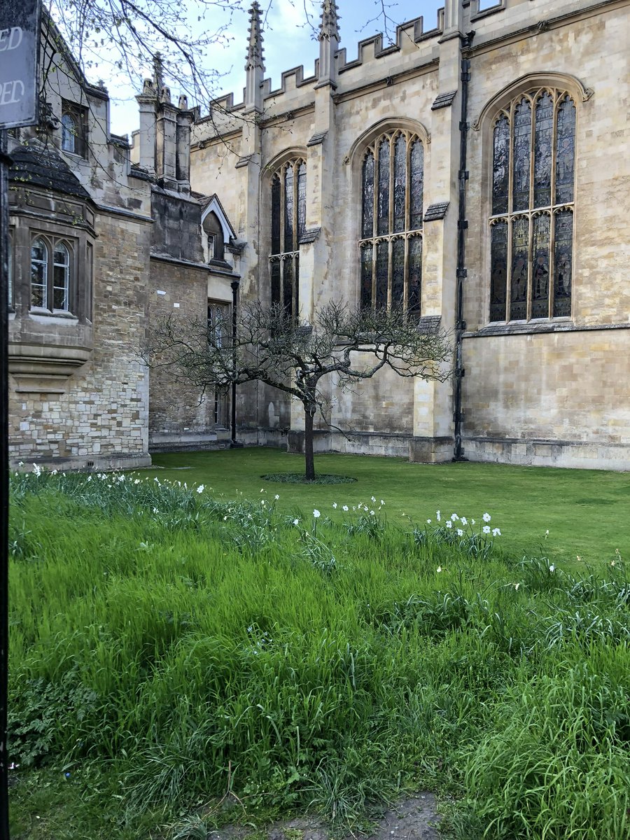 YippeeTweet's tweet photo. ว่างๆวันฟรีเดย์ ก็ไป Cambridge U สนุกมากกก หมายถึงนั่งมองวิวธรรมดาๆก็สวยแล้ว ไปดูต้นแอปเปิ้ลแห่งแรงโนมถ่วง... เซอร์ไอแซกนิวตัน 🍎 https://t.co/yrKjOxJrZv