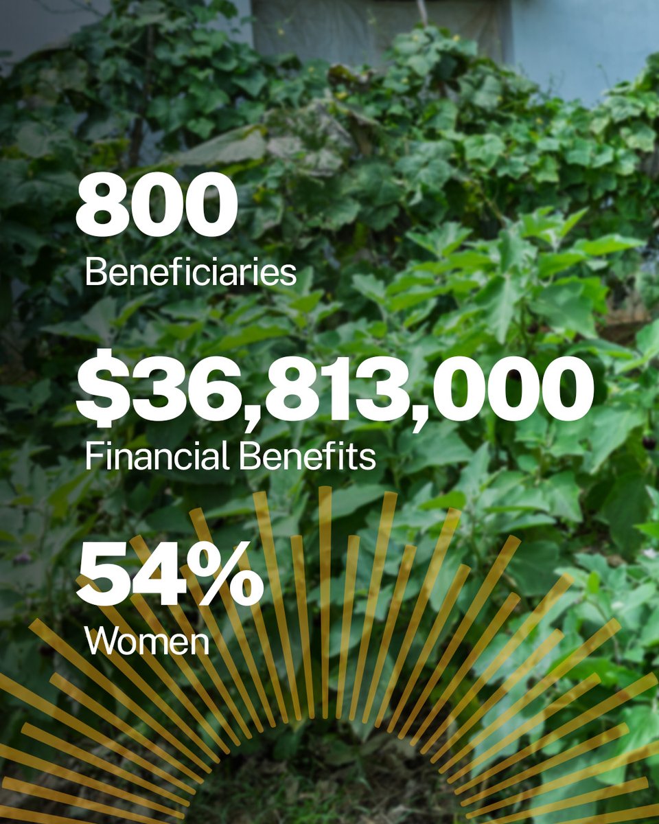 TechnoServe's tweet photo. Behind every statistic is a person or community working toward a stronger future 🇿🇦
The latest annual report highlights the impact of supporting entrepreneurs, strengthening businesses, and creating economic opportunities across South Africa.

https://t.co/aD35tkG0MN https://t.co/hW6eeeRrmY