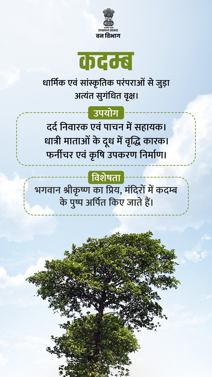 Rajasthan Forest Department tweet media