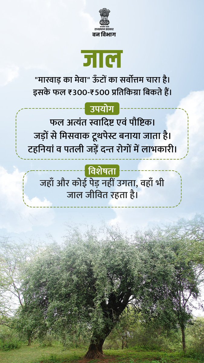 Rajasthan Forest Department tweet media