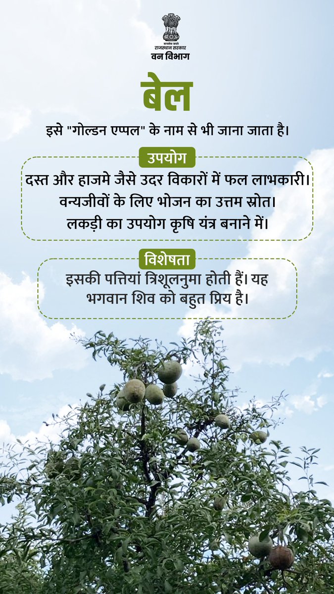 Rajasthan Forest Department tweet media