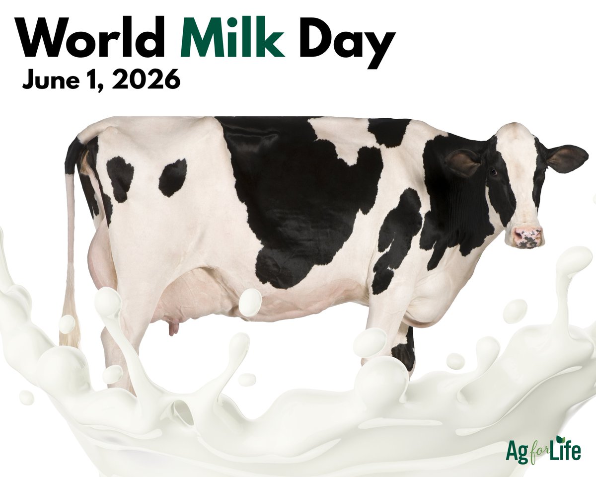 4AgForLife's tweet photo. 🥛 Happy #WorldMilkDay! 🥛
From the glass on your breakfast table to the cheese in your lunch, milk is part of everyday life for many Albertans. Today is a chance to explore the journey from farm to fridge and recognize the Alberta dairy farmers who help feed our communities. https://t.co/bYYnsqmwJv