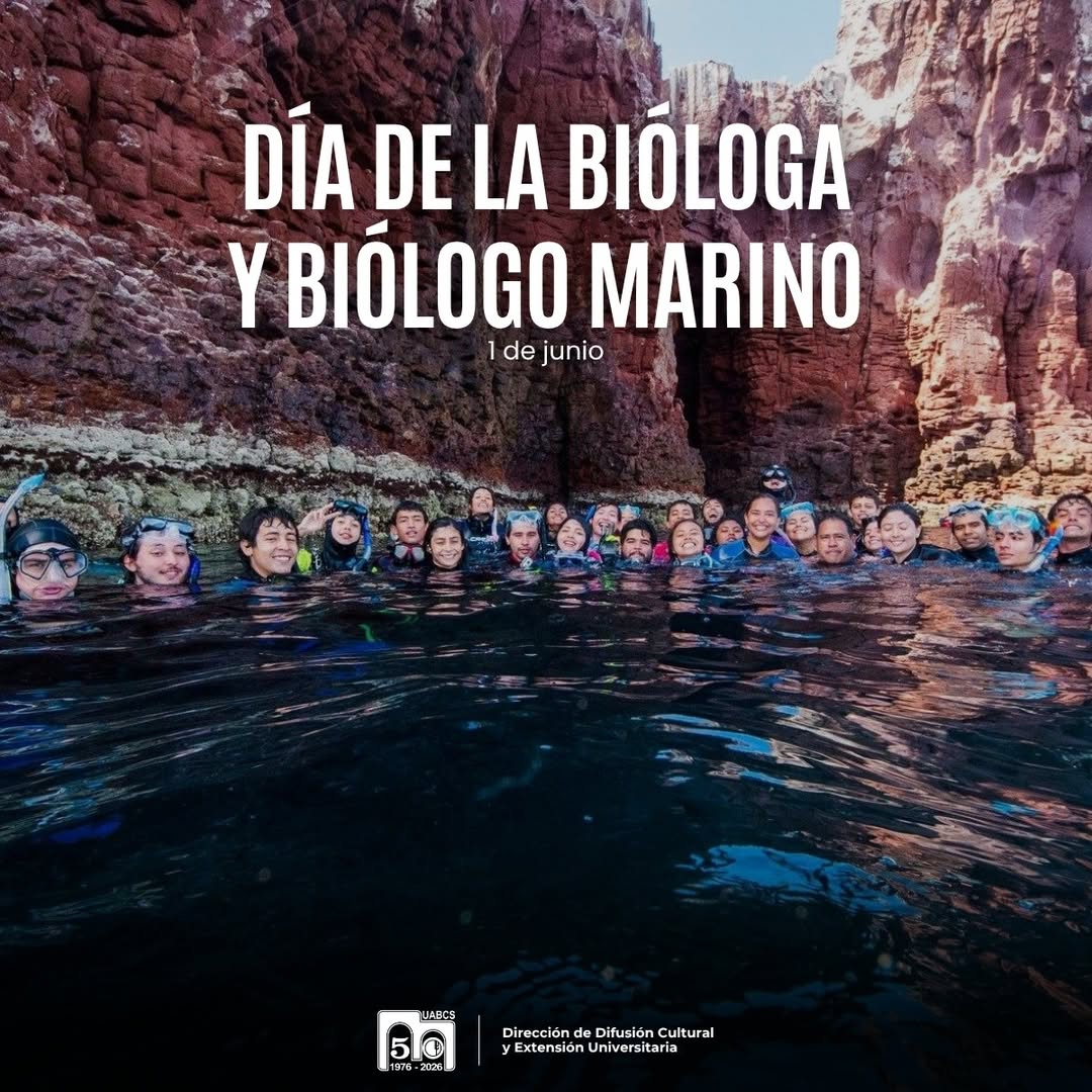 UABCSoficial's tweet photo. 🥳 Muchas felicidades a toda la comunidad de biólogas y biólogos marinos en su día. Nuestro amplio reconocimiento por sus contribuciones académicas, científicas y en favor de los ecosistemas marinos 💛💙 https://t.co/vxXKYhS5Z8
