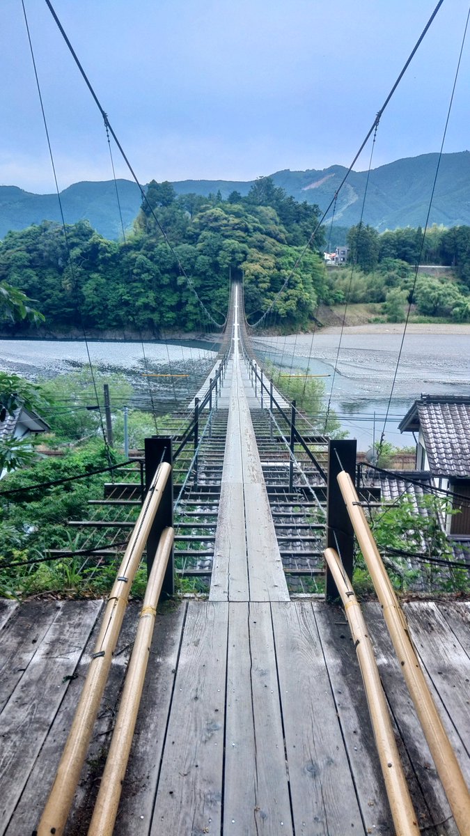 NAdv150's tweet photo. 塩郷の吊り橋
土曜日乗ったこと
ここへ向かう途中、白昼カモシカを轢きそうになりました😱
運良く後続車もなく急ブレーキしてなんとか回避できましたが広い二車線の県道なのにびっくりです。暑くて川に水を飲みに来たのかな？カモシカさんと目が合いました。確かに普通の鹿じゃなくてカモシカでした。 https://t.co/M63pCwzYSg