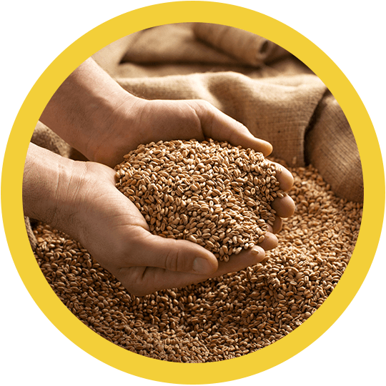 Seedgrowers tweet picture