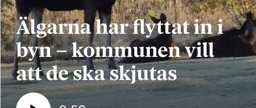 jonnystash's tweet photo. vilken helvändning i rubben, första halvan lät så trevlig https://t.co/WHJCU6z2co