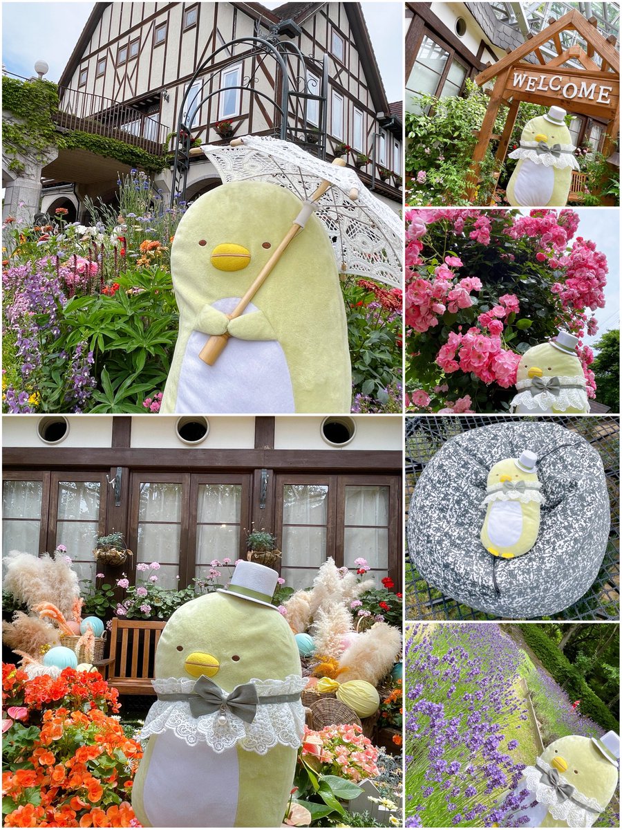 OJ5AVUuvAc60Cei's tweet photo. ぺっちゃんも 綺麗なお花や景色をながめたり ロープウェイにドキドキしたり
ハンモックでくつろいだりハーブ園楽しかったみたいです💚

きゅうり🥒がないのは 少し不満だったみたいです😂 https://t.co/5NF7mtKVqO