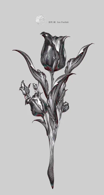 『jewelry 黒蝶真珠』