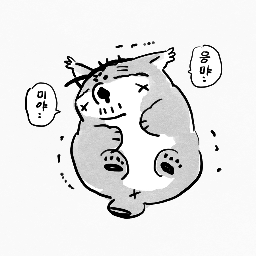 횽 tweet media