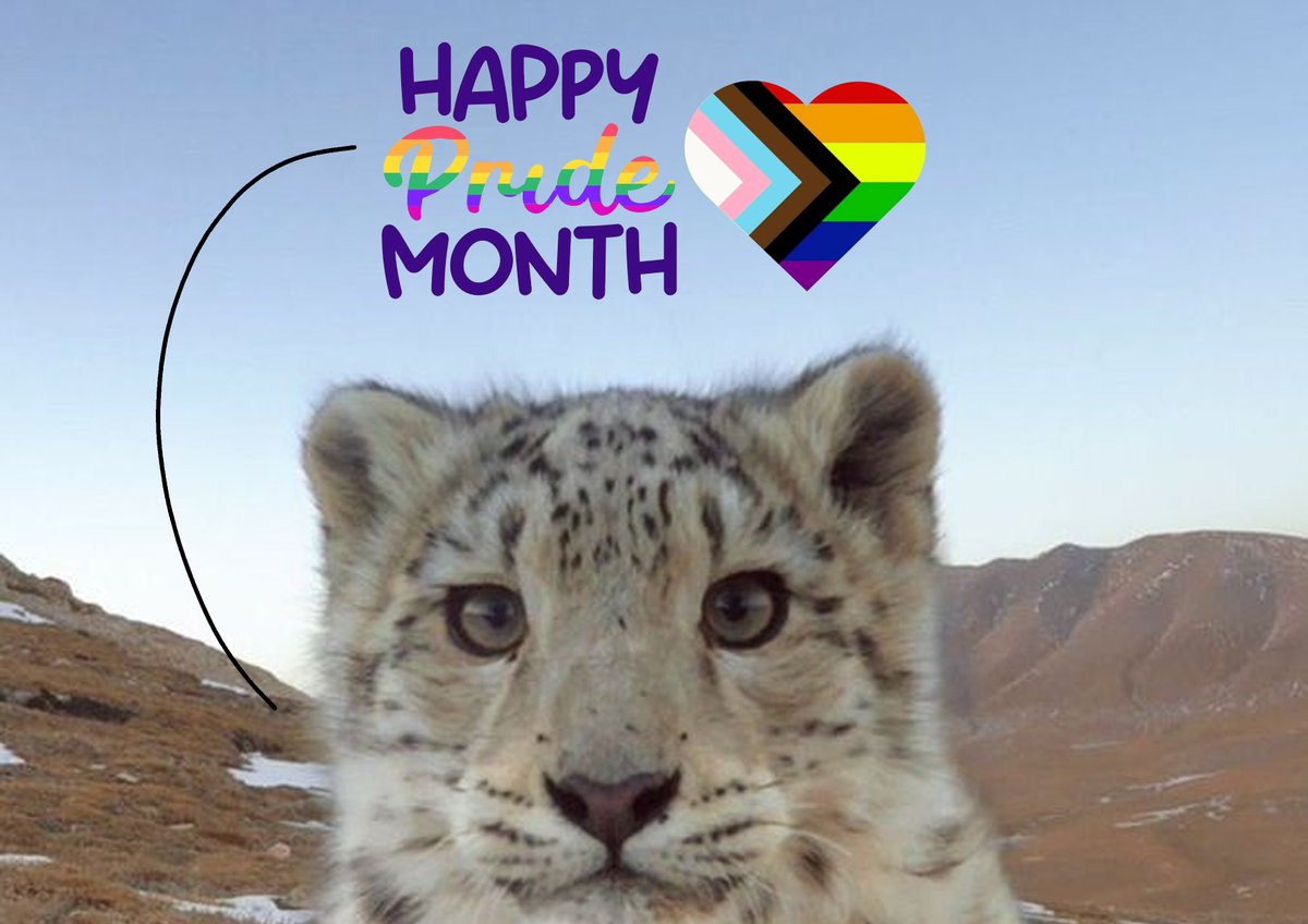 thecatidk's tweet photo. Listen to him #pridemonth2026 https://t.co/Bp2kPThVd3