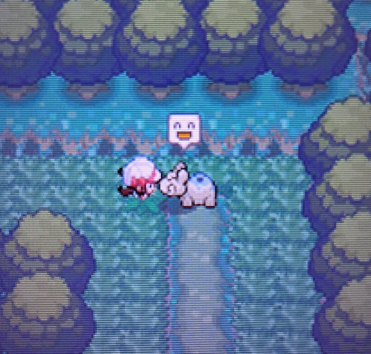 shrub_shrubbery's tweet photo. Shiny hoenn sound Numel appears after a quick 303 encounters 🌋✨️ This took 1 phase and is my 14th SBQ member!

First of all... why can you find a fire type in viridian forest. Second of all WOW that was quick!

Next target is headbutt Slakoth! Updated SBQ board below https://t.co/fJvioLq7Tk