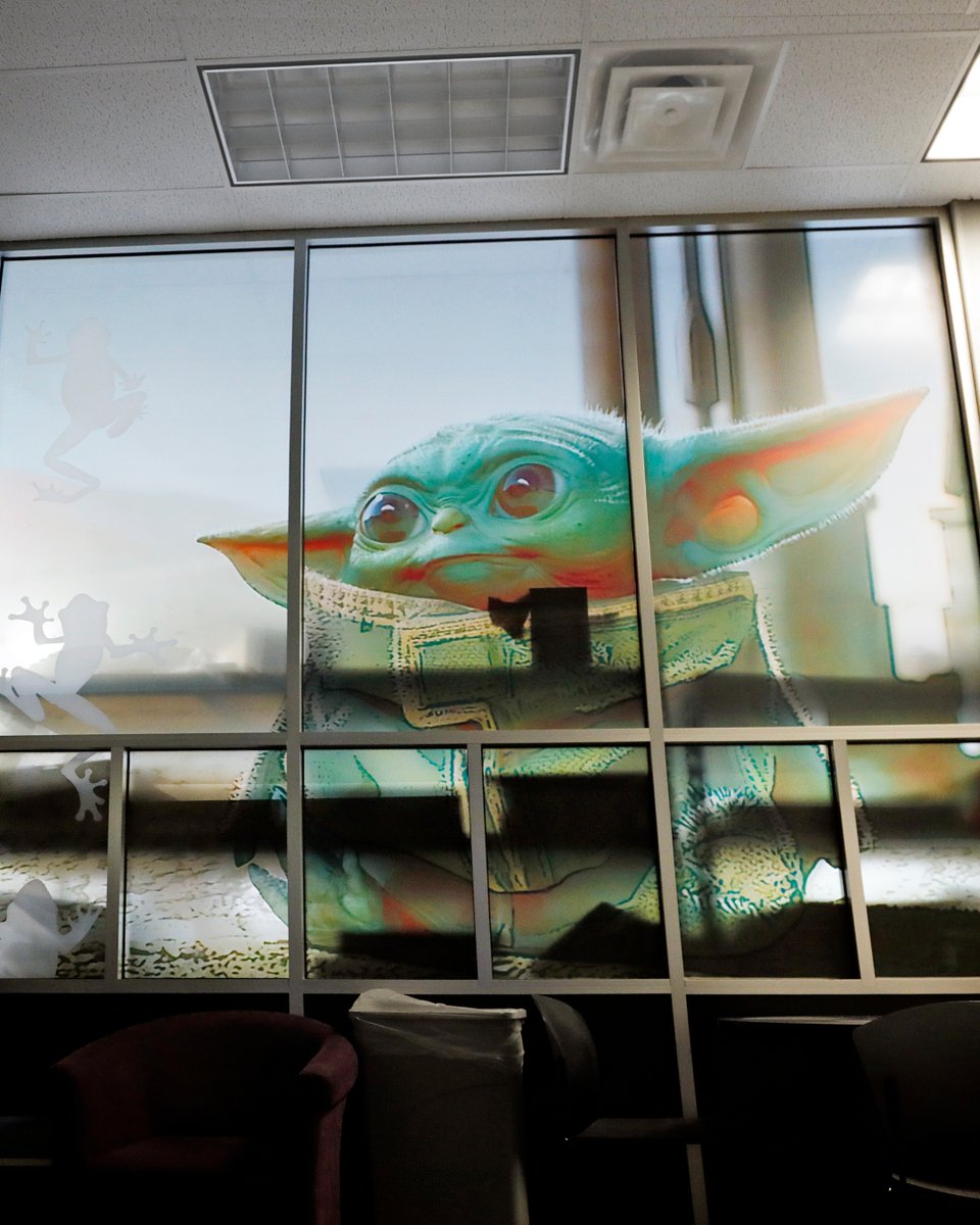 csi_graphics's tweet photo. Protect your workspace while letting natural light in. Custom window films offer privacy and style, with no worry of bounty hunters.

Explore options: https://t.co/YSIdseCOkn 

#WindowGraphics #OfficeBranding #CommercialGraphics #Signage https://t.co/WewFSl3W3B