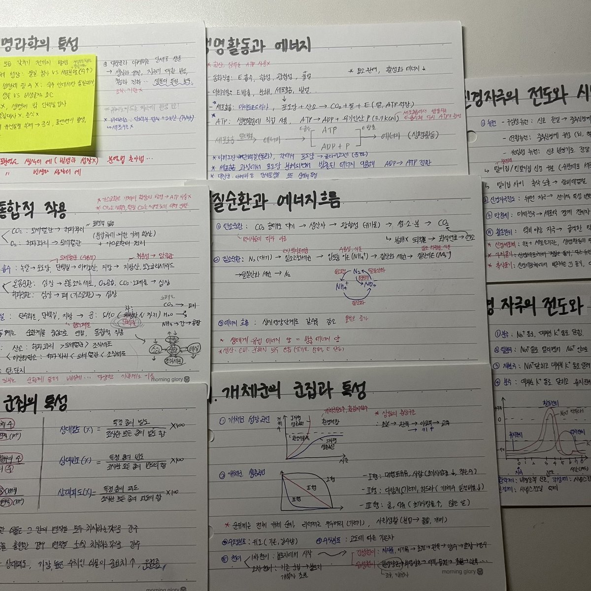 nwsvoo's tweet photo. #study #team09 #studytwt https://t.co/H5SMjscsqg