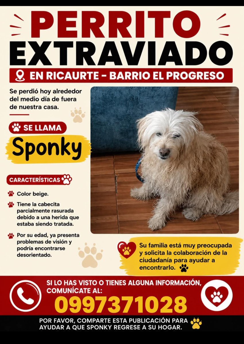 AlertaMePerdi's tweet photo. #PERDIDO #CUENCA
Nombre: #Sponky
Fecha: 2026-05-31
Sector: Norte, Barrio El Progreso, Ricaurte 
Sexo: Macho
Raza: Mestizo
Observación: Tiene una parte rapada en la cabeza por una herida que estaba sanando
Contacto: 0997371028
¡Ayúdalo a volver con su familia!
 #AlertaMePerdí https://t.co/Y7Emw8d4tw