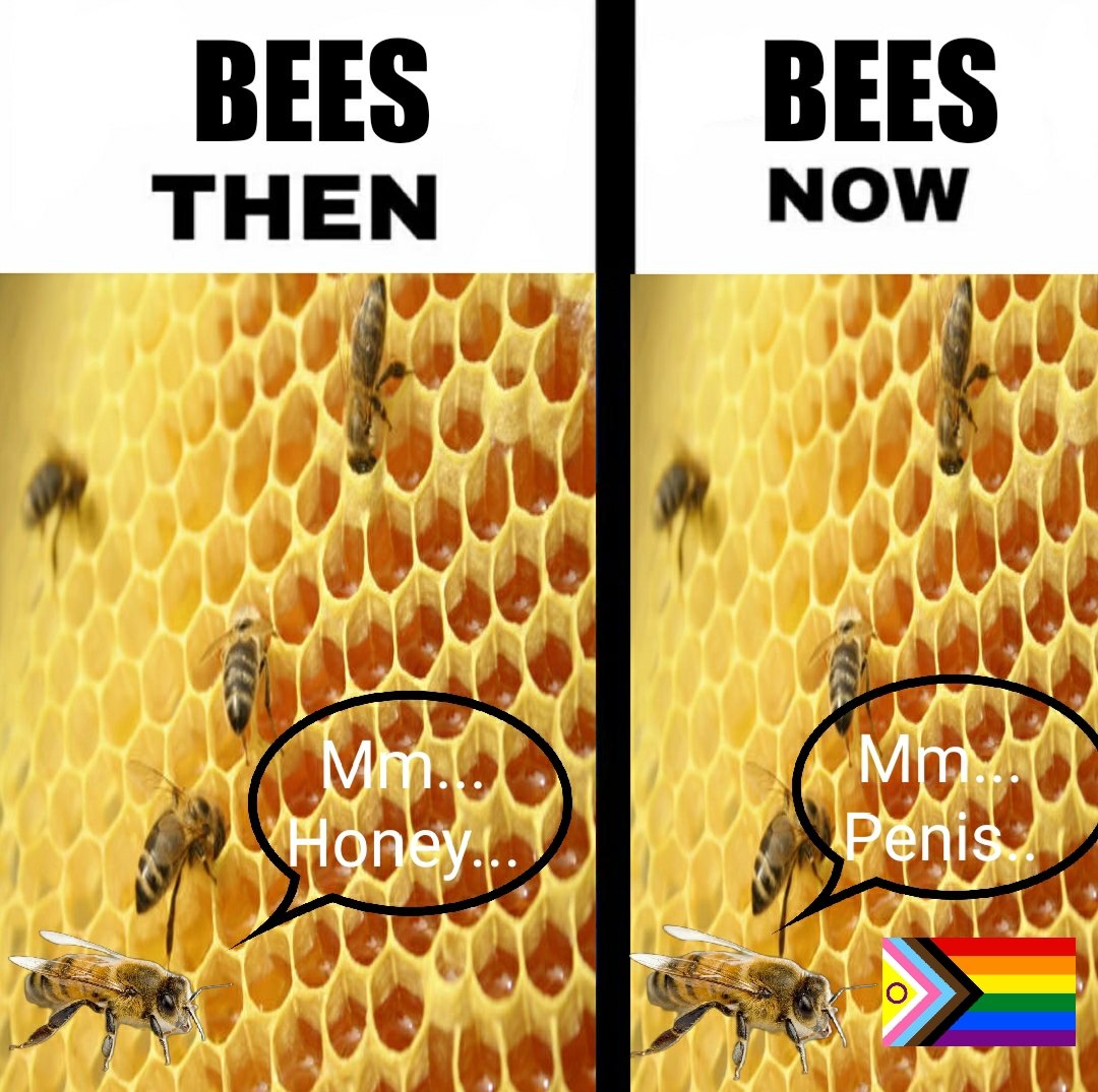 320,000,001 Yellow Jacket Wasps tweet media
