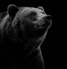 ch0s3nnn's tweet photo. The Bear Rapes Everyone...

https://t.co/1bhocLNrKk https://t.co/U76Iv5kulk